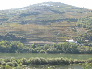 Realizados Imagens - Douro Vinhateiro 1