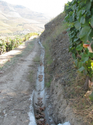 Realizados Imagens - Douro Vinhateiro 5