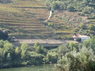 Realizados Imagens - Douro Vinhateiro 6